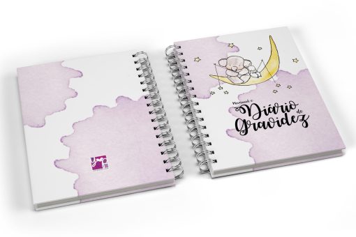 manual e diário de gravidez